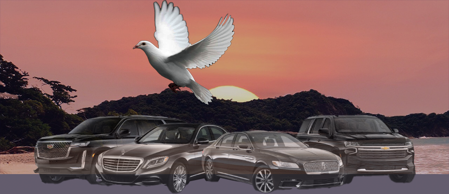 lax town car