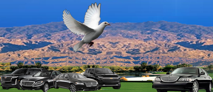 lax town car