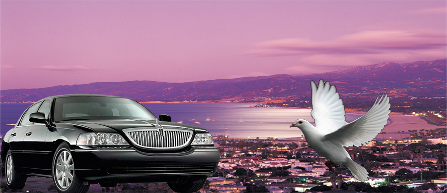 lax town car